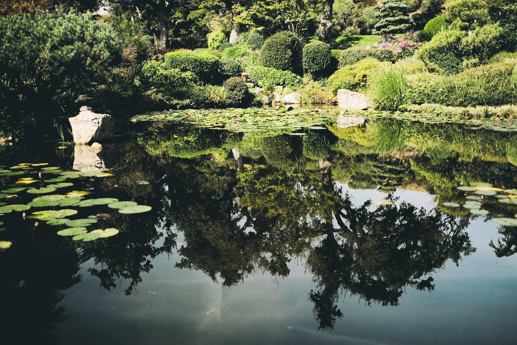 Tour de France des jardins japonais