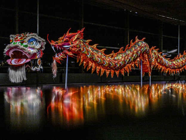 Exposition du quai Branly : quand les dragons atterrissent à Paris